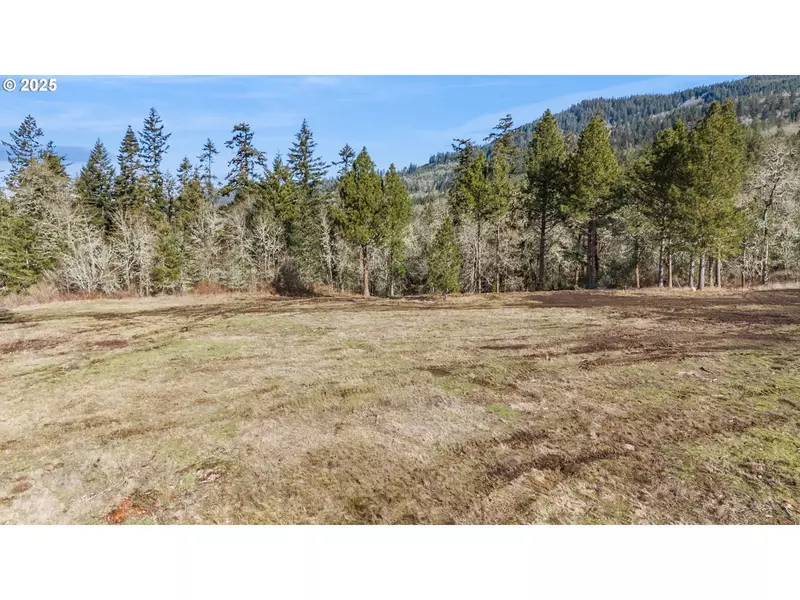 Lot 1, Harrisburg, OR 97446