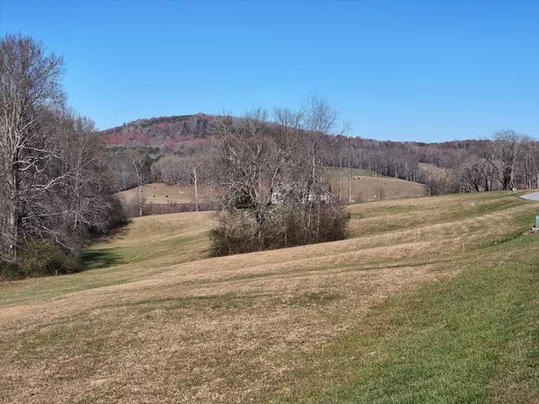 Blairsville, GA 30512,Lot 115 Owen Glen