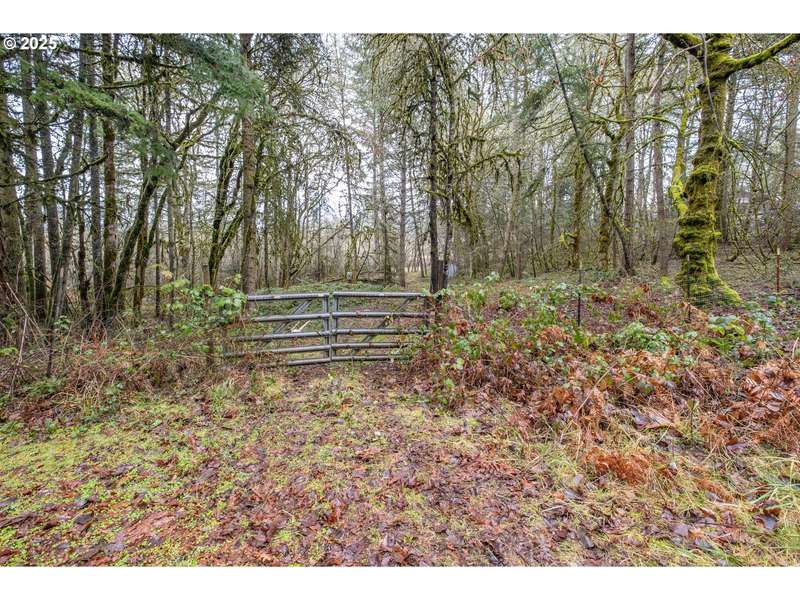 Pineway RD, Lebanon, OR 97355