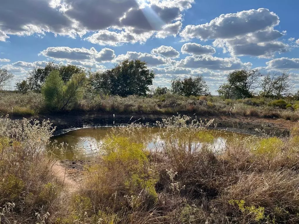 Coolidge, TX 76635,TBD County Road 215