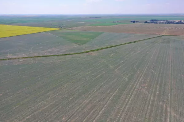 Rural Lethbridge County, AB T1J 4P4,ON RR 211