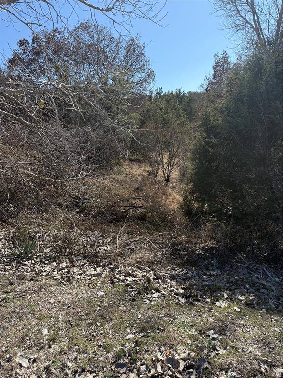 Bluff Dale, TX 76433,785 Blue Marlin Court