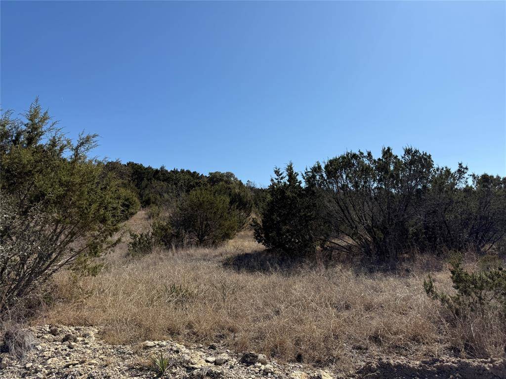 Bluff Dale, TX 76433,785 Blue Marlin Court
