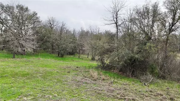 Weatherford, TX 76088,Lot 23-B FM 920