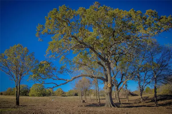 Saint Jo, TX 76265,Tract 4 Lazy E Rd