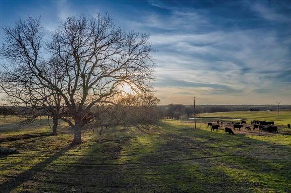 14867 Farm to Market 274, Ravenna, TX 75476