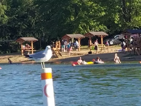 Lake Summerset, IL 61019,771 Westmore Road