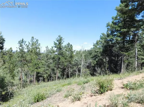 13670 Spruce Creek CIR, Larkspur, CO 80118