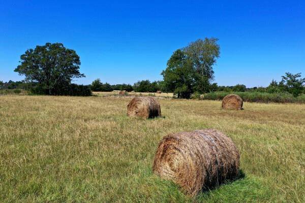 Quinlan, TX 75474,0000 CR-2537