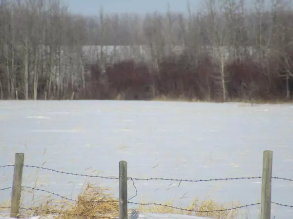 Rural Clearwater County, AB T0M 0P0,Wall Street Road