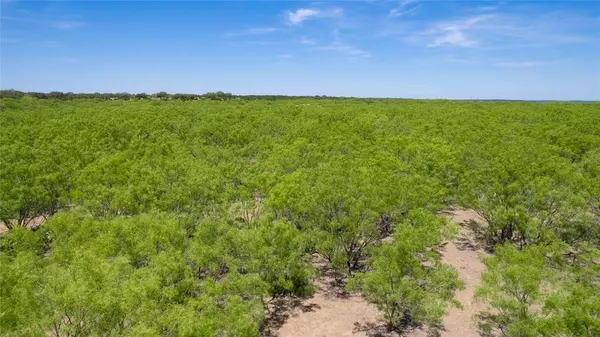 Brookesmith, TX 76827,TBD C. R. 211