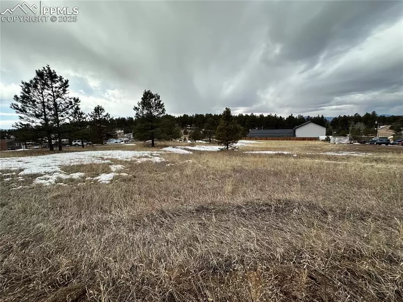 469 Rhyolite LN, Florissant, CO 80816