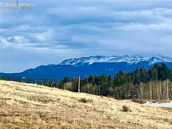 Florissant, CO 80816,663 Hidden Valley DR