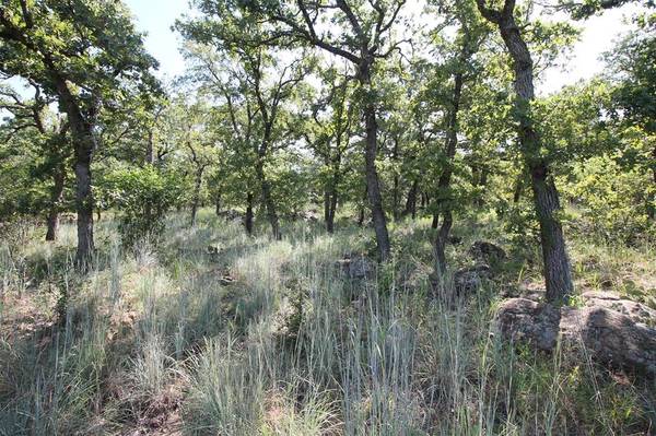 Lot 265 Ridgeline Drive, Chico, TX 76431