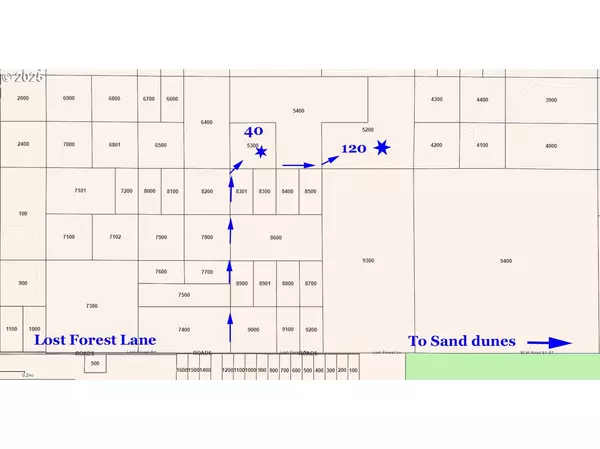 Christmas Valley, OR 97641,Lost Forest LN #5200