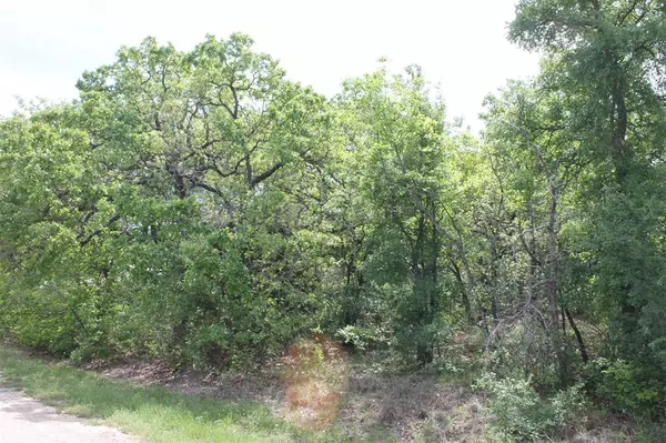 Lot 14 Jim Walters Drive, Runaway Bay, TX 76426