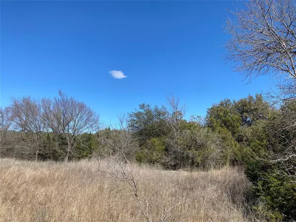 Meridian, TX 76665,375 Private Road 2542