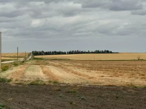 Rural Rocky View County, AB T4A 1J3,Range Road 280