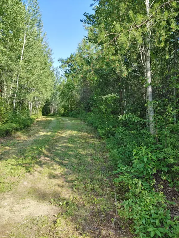 LOT 5 CON 1 RD, Timiskaming Remote Area, ON P0J 1M0