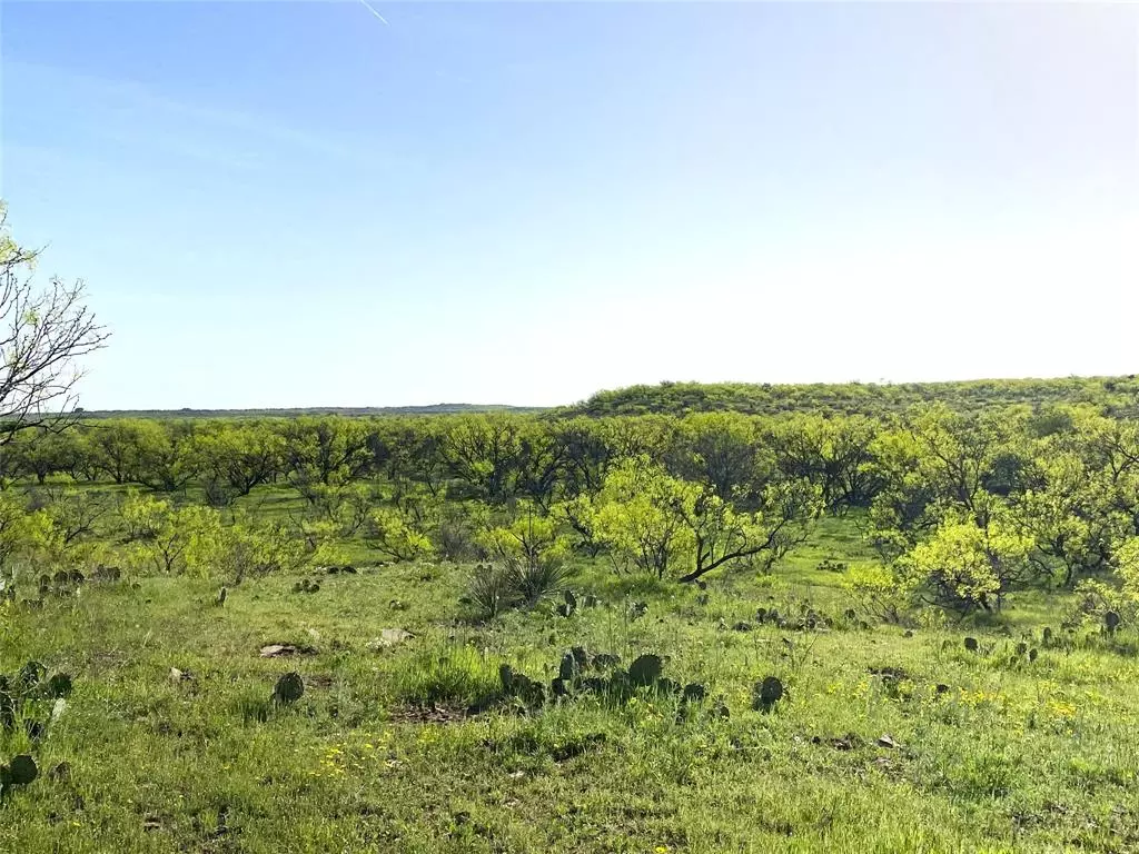 Throckmorton, TX 76483,333 Acres County Road 414