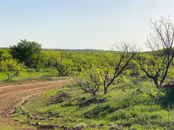 Throckmorton, TX 76483,333 Acres County Road 414