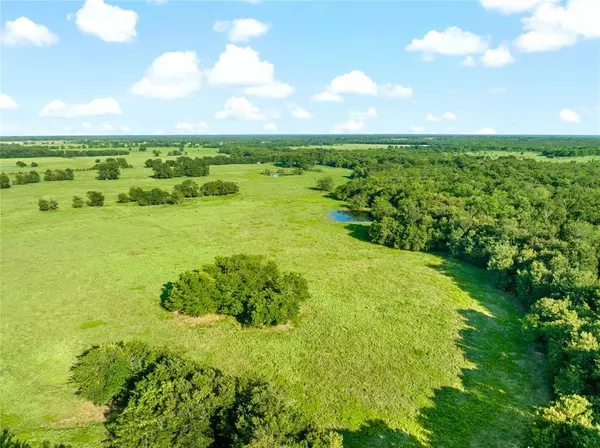 Lake Creek, TX 75450,0000 County Road 1230