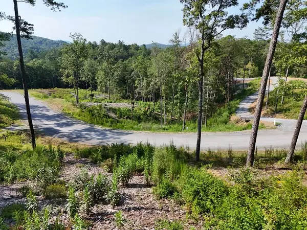 Lot 3 Mountain Laurel Ridge, Mineral Bluff, GA 30559