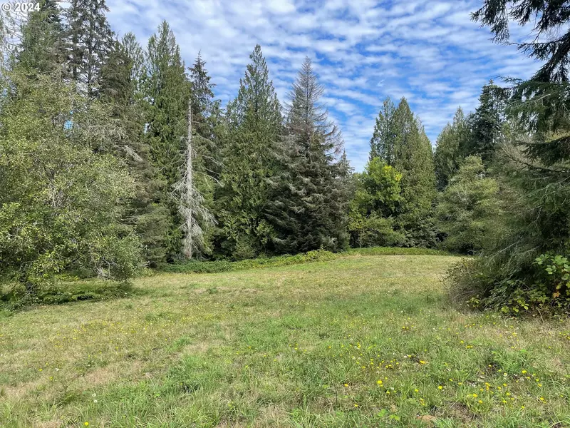 0 Brown RD #1, Washougal, WA 98671