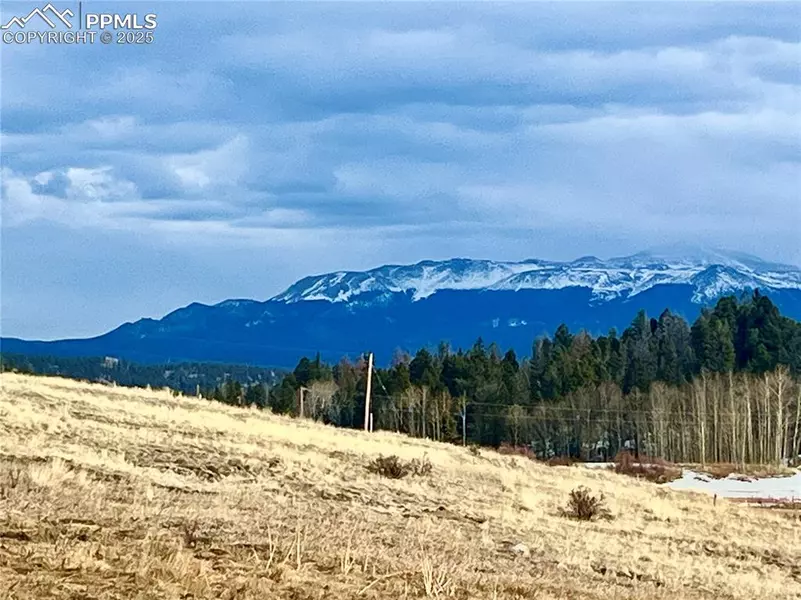 663 Hidden Valley DR, Florissant, CO 80816