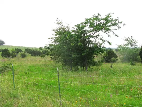 Hamilton, TX 76531,Lot N31 PR 2902