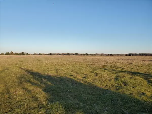 Ivanhoe, TX 75447,TBD C. R.  2610