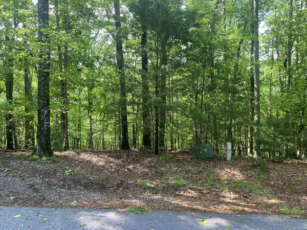 Blairsville, GA 30512,Lot 5 Mount Pleasant Ridge Road