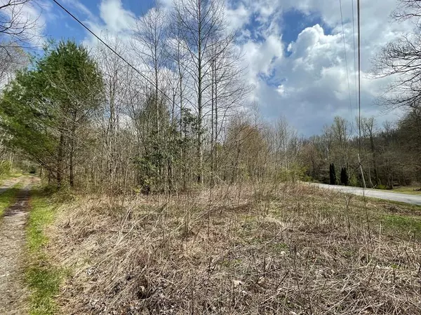 12.1 AC Laurel Branch Road, Hayesville, NC 28904