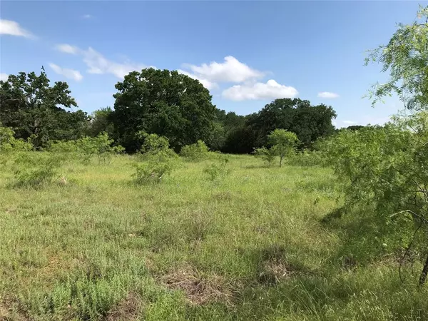 Whitney, TX 76692,17061 Trailwood Drive