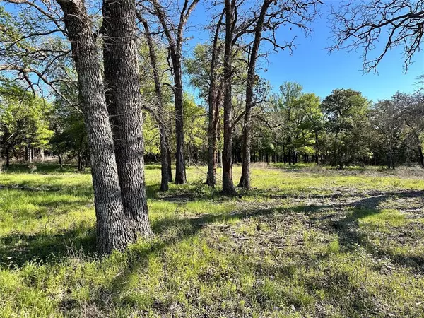 Carlton, TX 76436,Lot 27 PR 1272