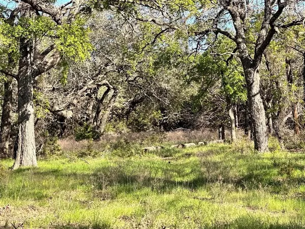 Carlton, TX 76436,Lot 27 PR 1272