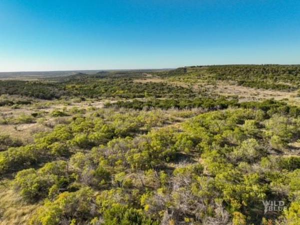 000 Big Country Trail, Strawn, TX 76475