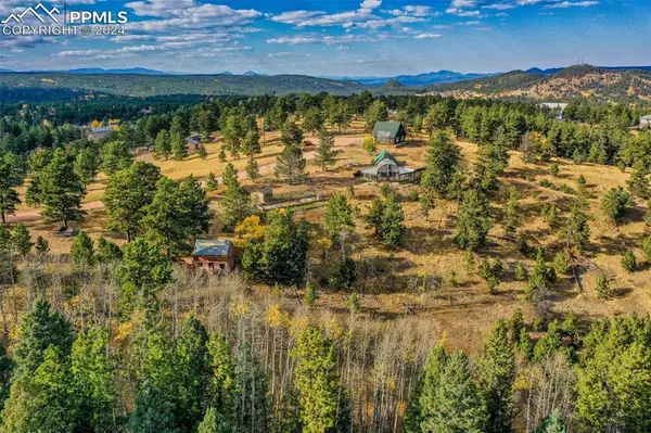 Woodland Park, CO 80863,700 Markus RD