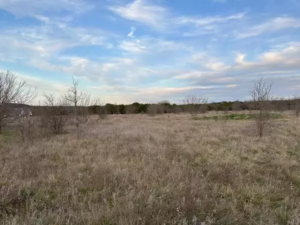 Graford, TX 76449,Lot 35 Canyon Wren Loop