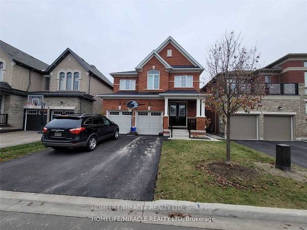 61 Forsyth CRES #Bsmt, Brampton, ON L6X 5N2