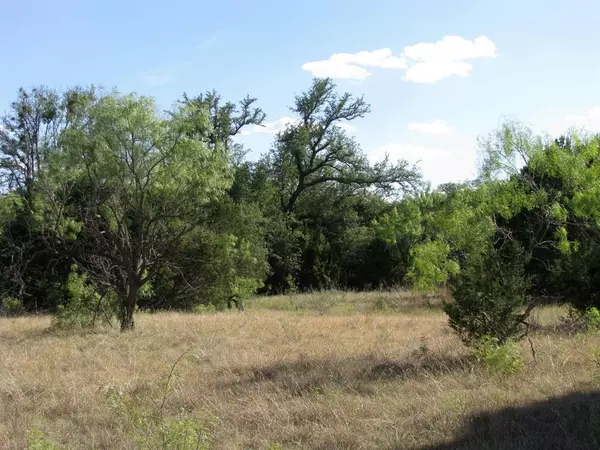 Evant, TX 76525,Lot 20 Ph 4 Pr 42126