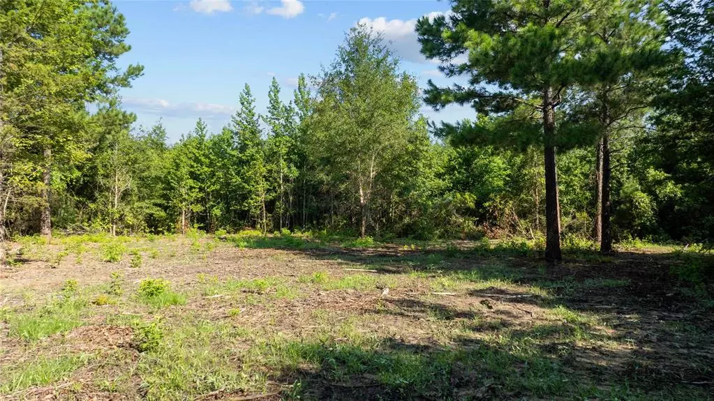 9443 Mistletoe Road #Lot 11, Gilmer, TX 75644