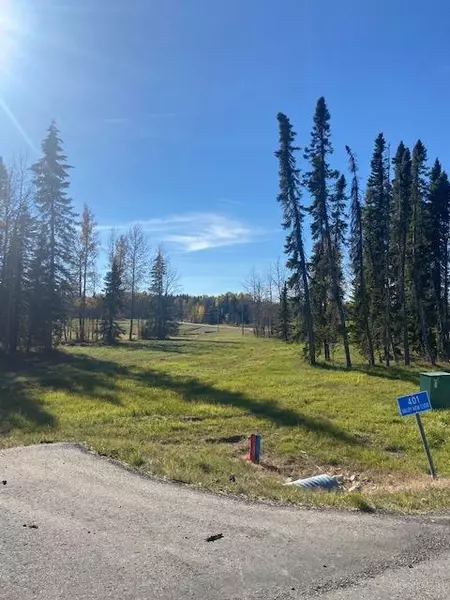 401 Valley View Close, Rural Clearwater County, AB T4T 1A7