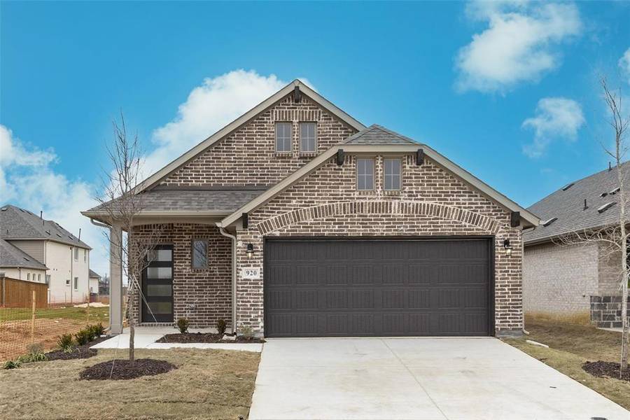 920 Apeldoorn Trail, Little Elm, TX 75068