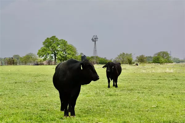 Goldthwaite, TX 76844,621 Farm Market 572