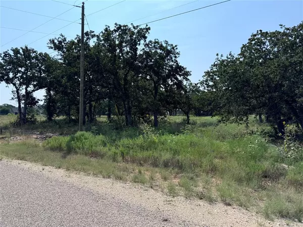 Glen Rose, TX 76043,TBD CR 2030 Lot 6