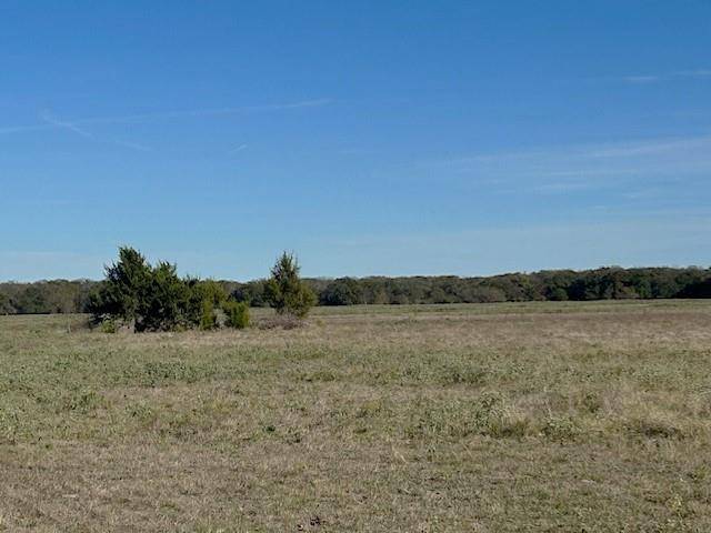 Tbd County Road 2805, Honey Grove, TX 75446