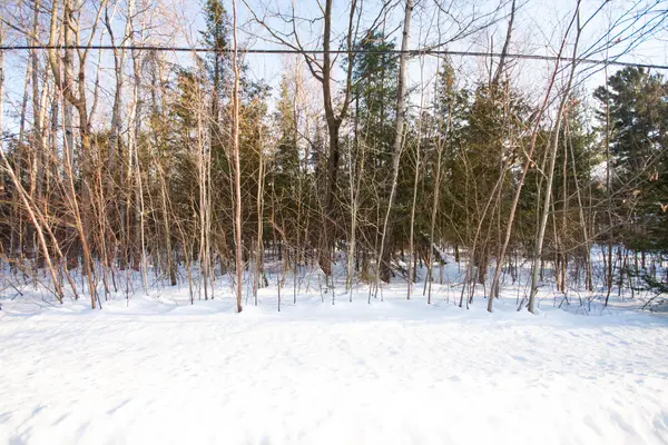 Tiny, ON L0L 1P0,LOT 4 Spruce ST