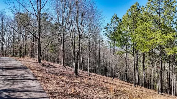 Lot 29 Loftis Mountain, Blairsville, GA 30512