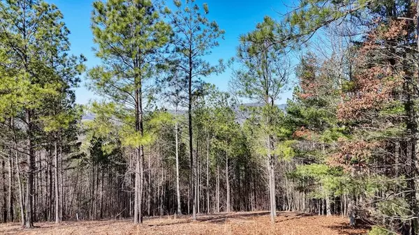 Lot 30 Loftis Mountain, Blairsville, GA 30512